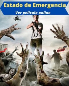 Estado de Emergencia ver película online