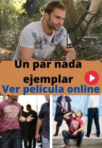 Un par nada ejemplar ver película online