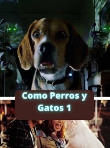 Como Perros y Gatos 1 ver película online