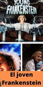 El joven Frankenstein ver película online