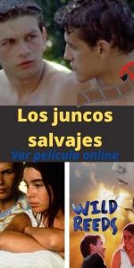 Los juncos salvajes ver película online