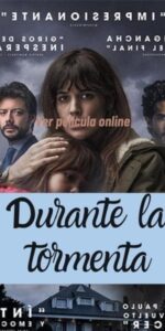 Durante la tormenta ver y descargar película online